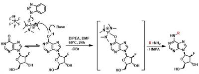 Hormopriming to Mitigate Abiotic Stress Effects: A Case Study of N9-Substituted Cytokinin Derivatives With a Fluorinated Carbohydrate Moiety